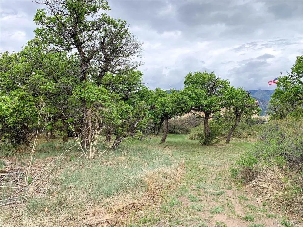 4920 County Road 650 Rye, CO 81069