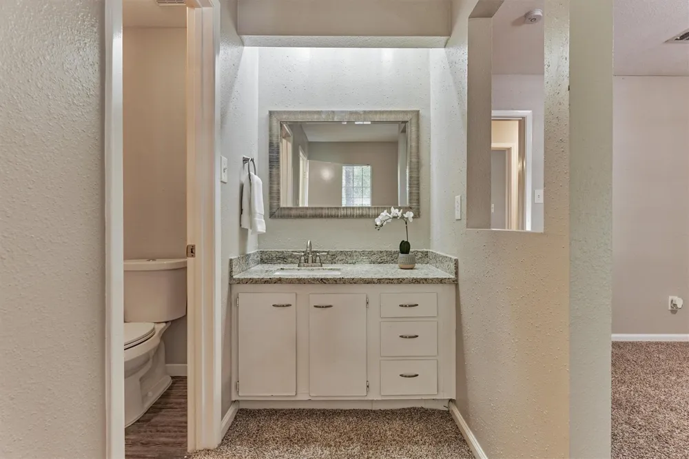 26 W Broken Oak Court The Woodlands, TX 77381