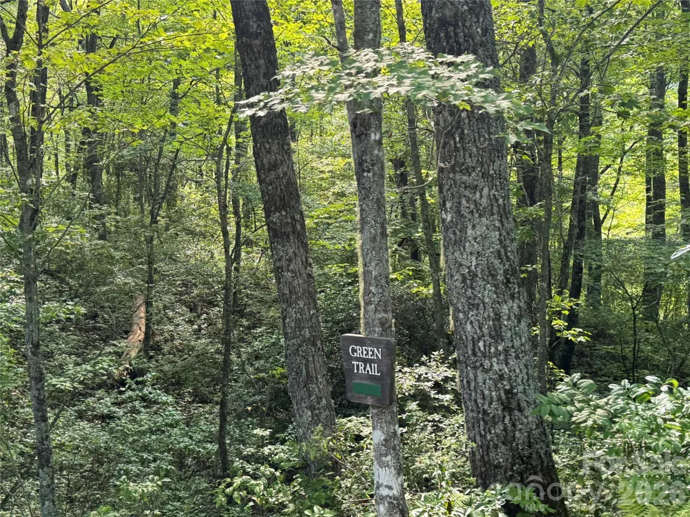 LT C28 Lodgepole Trail Glenville, NC 28739