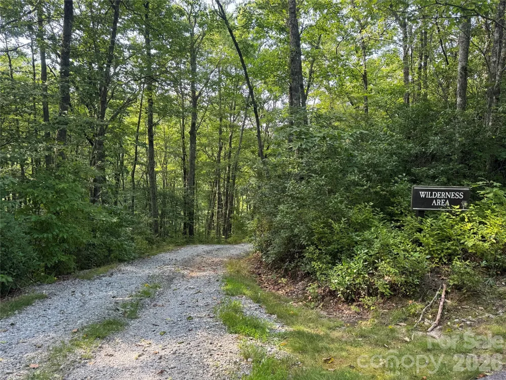 LT C28 Lodgepole Trail Glenville, NC 28739