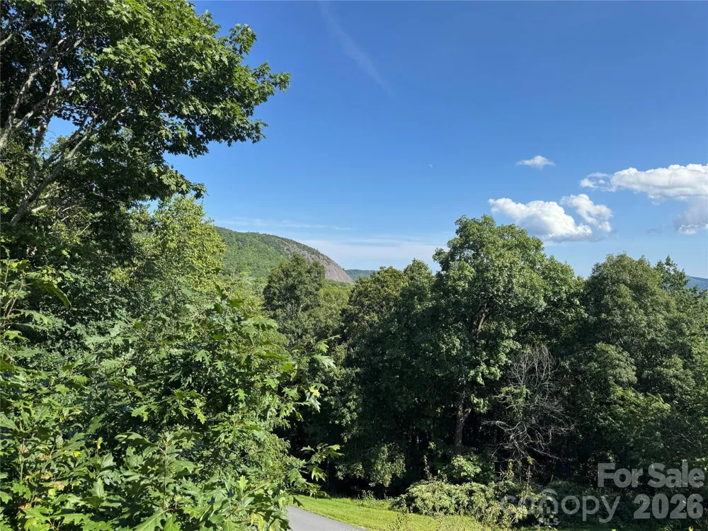 LT C28 Lodgepole Trail Glenville, NC 28739