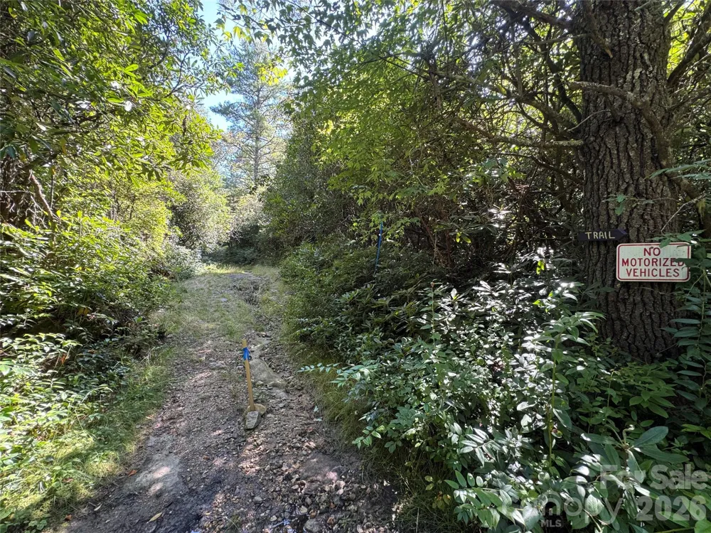 LT C28 Lodgepole Trail Glenville, NC 28739