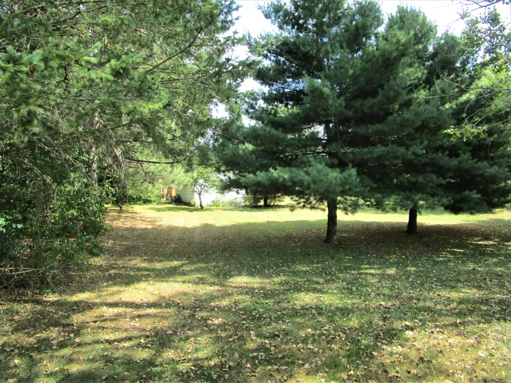 3338 Cherry St Frederic, WI 54837