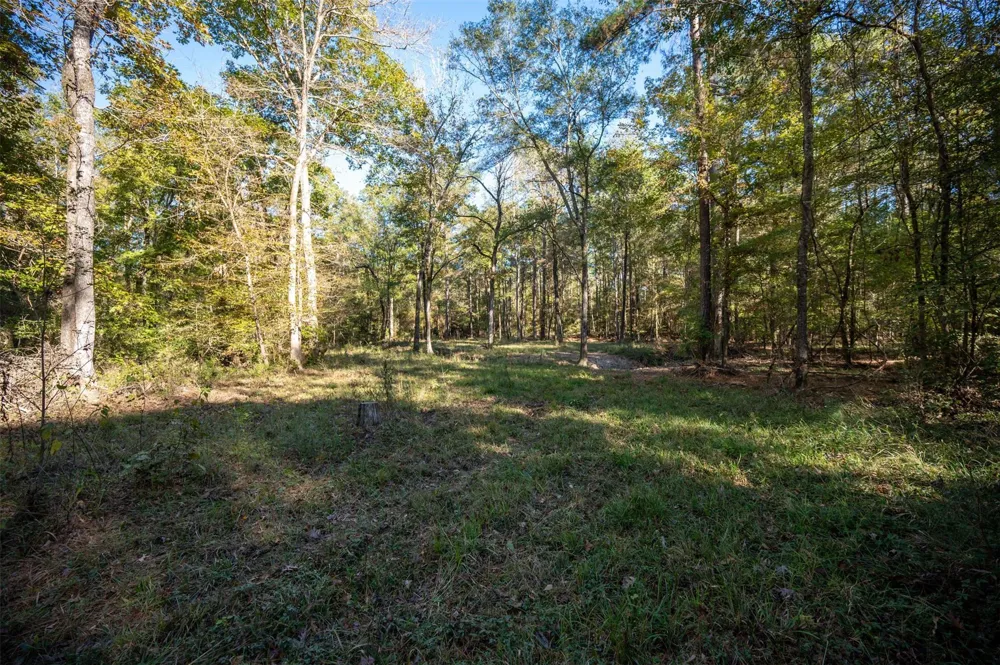 Farm To Market 1745 Chester, TX 75936