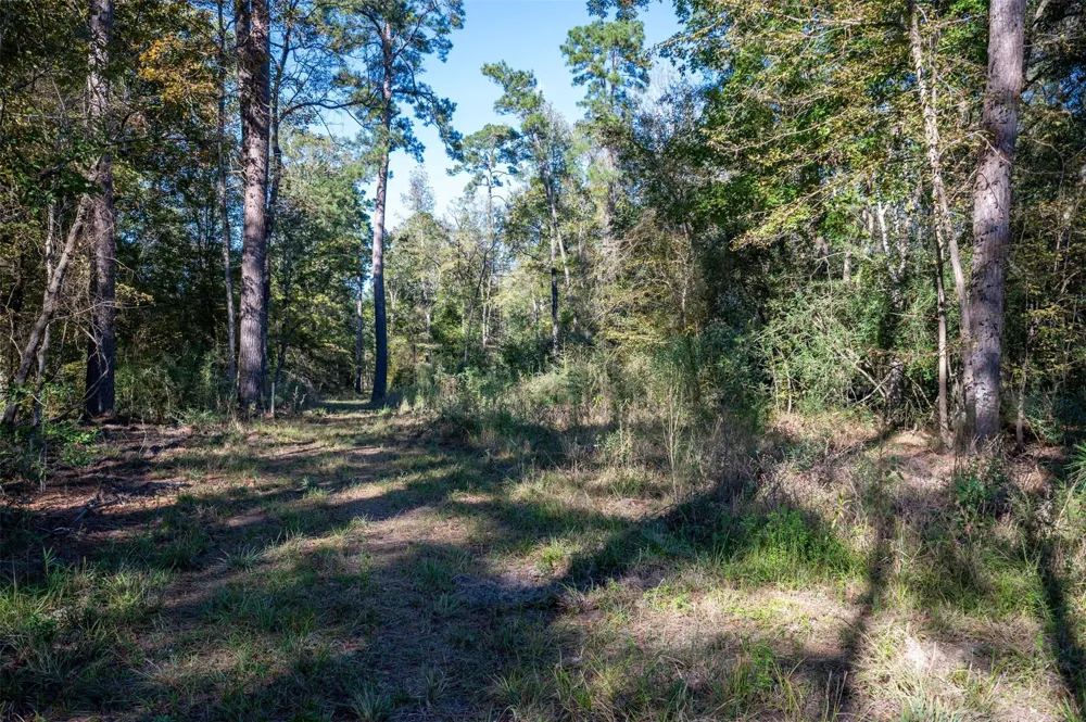 Farm To Market 1745 Chester, TX 75936
