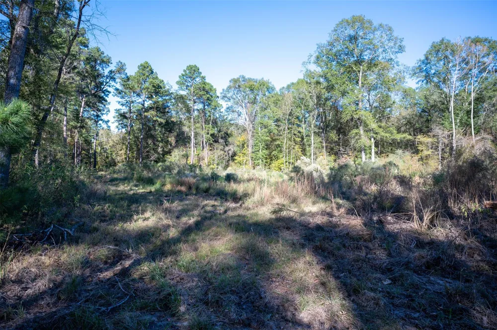 Farm To Market 1745 Chester, TX 75936