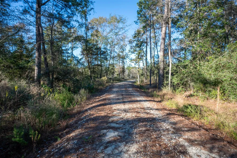Farm To Market 1745 Chester, TX 75936