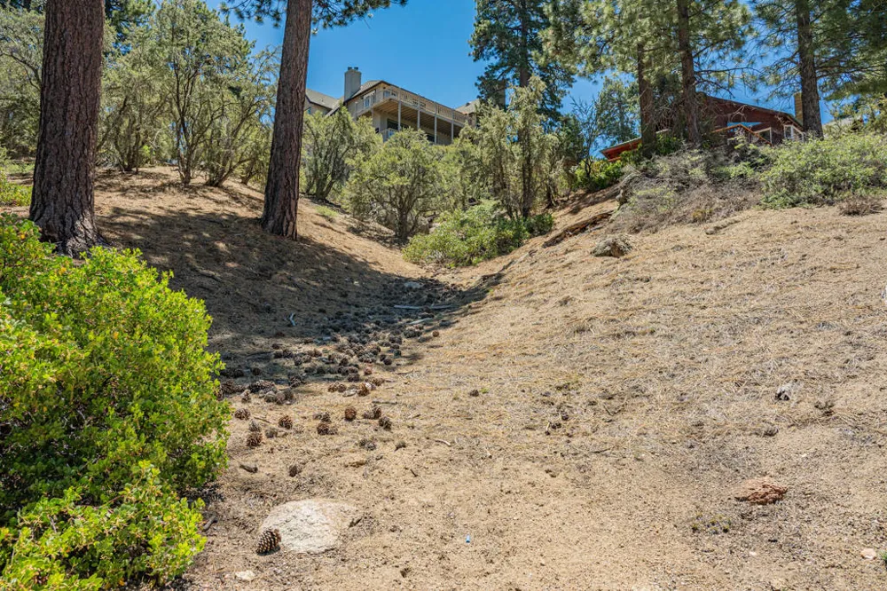 Paine Road Big Bear, CA 92315