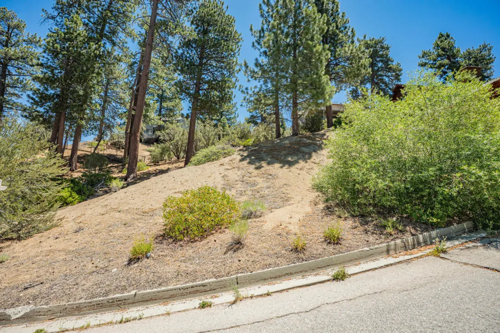 Paine Road Big Bear, CA 92315