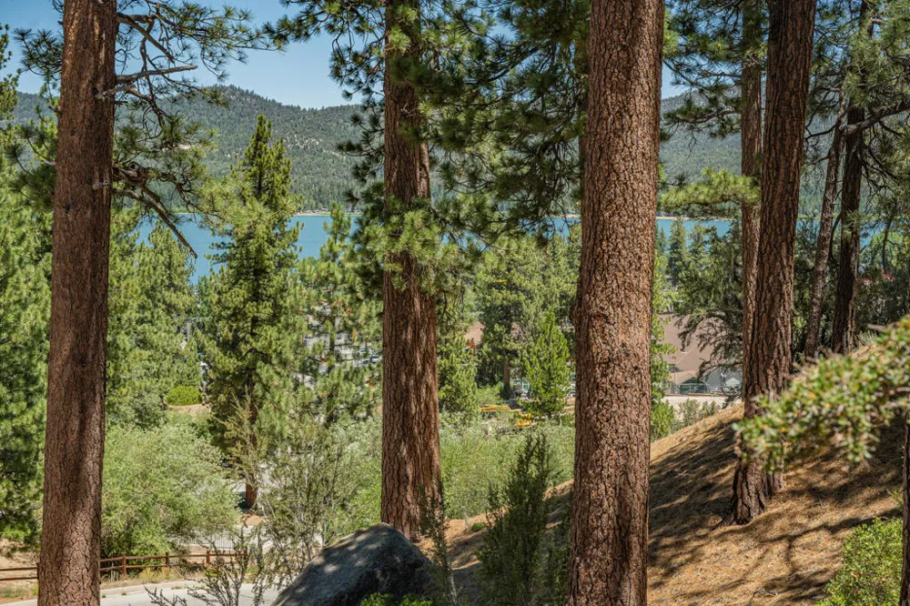 Paine Road Big Bear, CA 92315