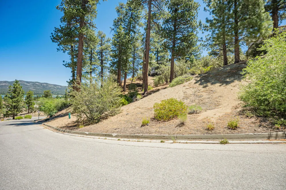 Paine Road Big Bear, CA 92315