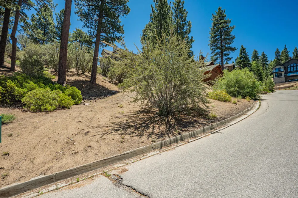 Paine Road Big Bear, CA 92315