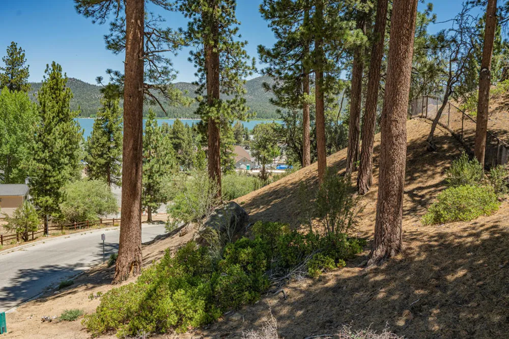 Paine Road Big Bear, CA 92315