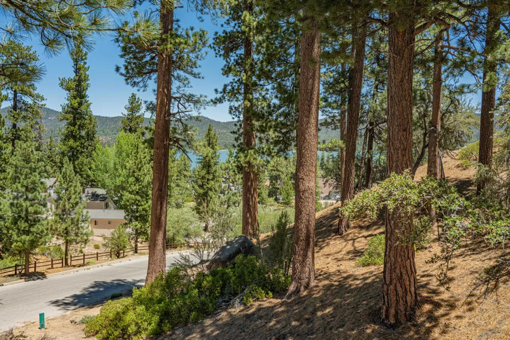 Paine Road Big Bear, CA 92315