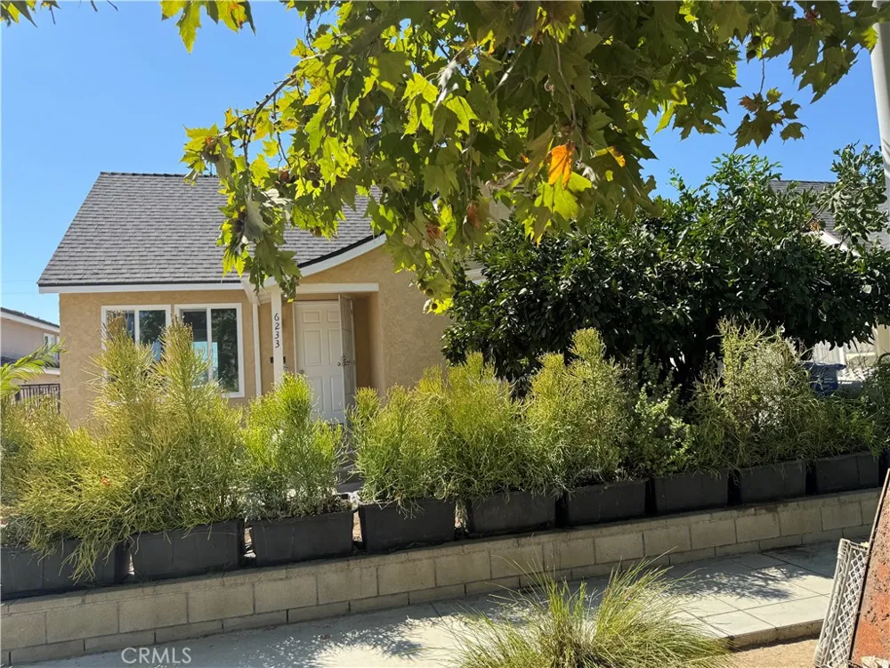 6233 Rosemead Temple City, CA 91780