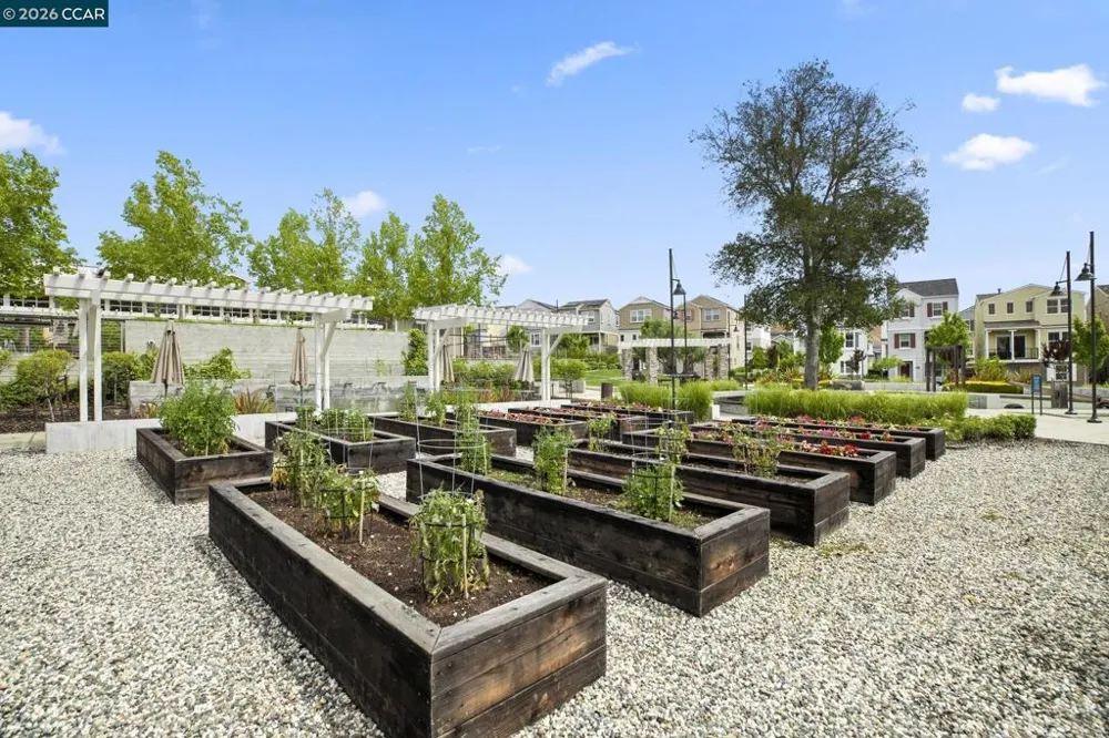 7195 Calistoga Ln Dublin, CA 94568