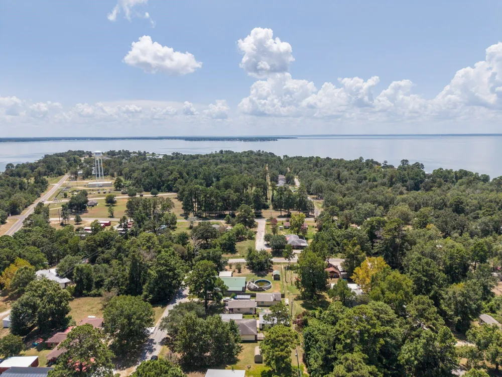 221 Oak Ridge Drive Onalaska, TX 77360