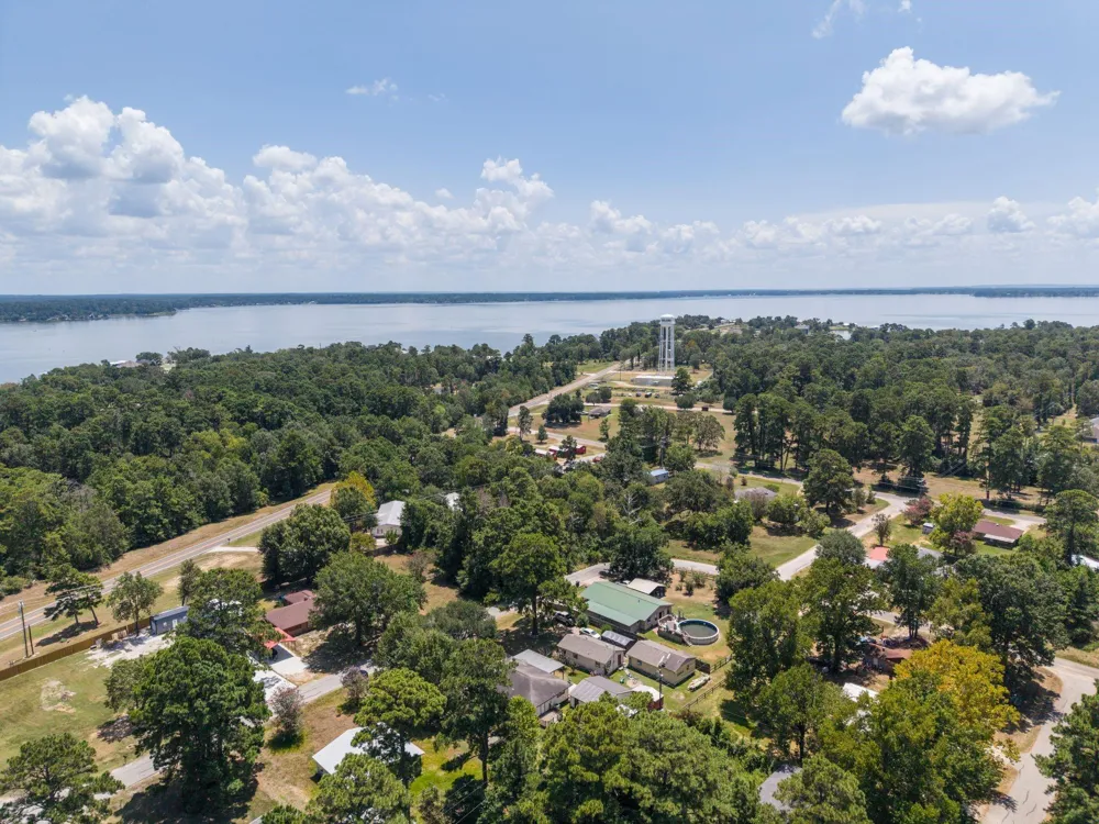 221 Oak Ridge Drive Onalaska, TX 77360