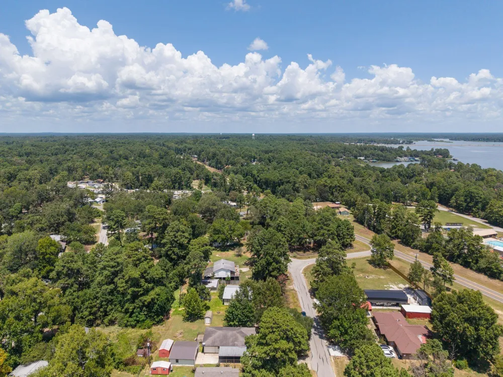 221 Oak Ridge Drive Onalaska, TX 77360