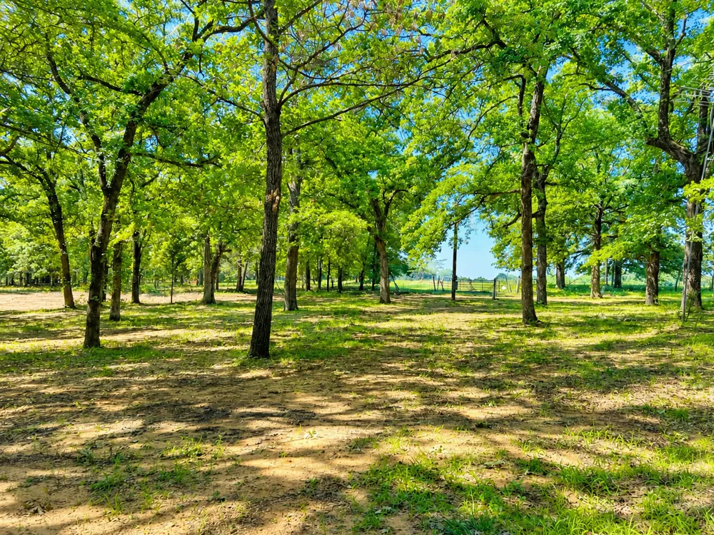 3260 Howard Road Beggs, OK 74421