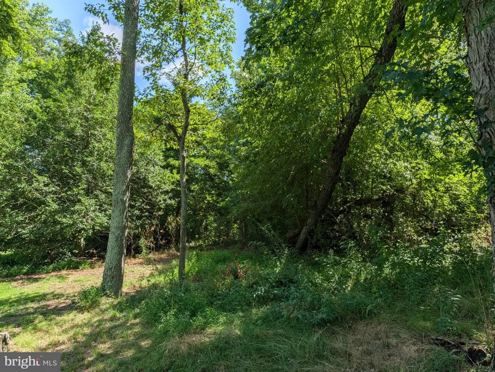 425 JULIUSTOWN PEMBERTON ROAD Pemberton, NJ 08068