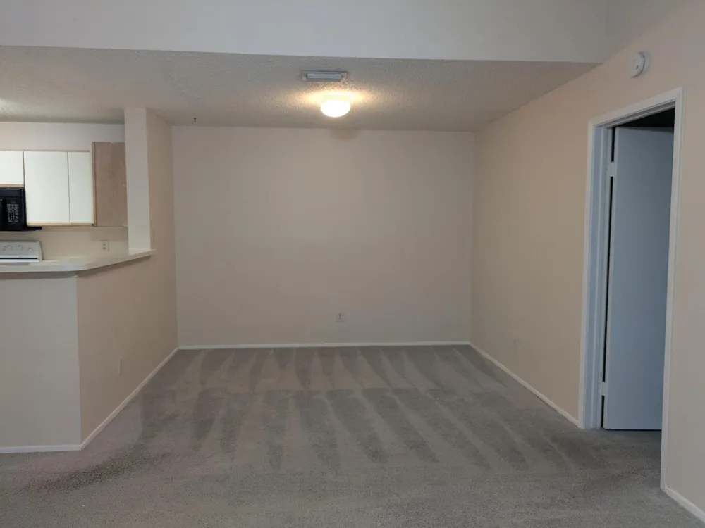 11255 W Atlantic Boulevard #302 Coral Springs, FL 33071