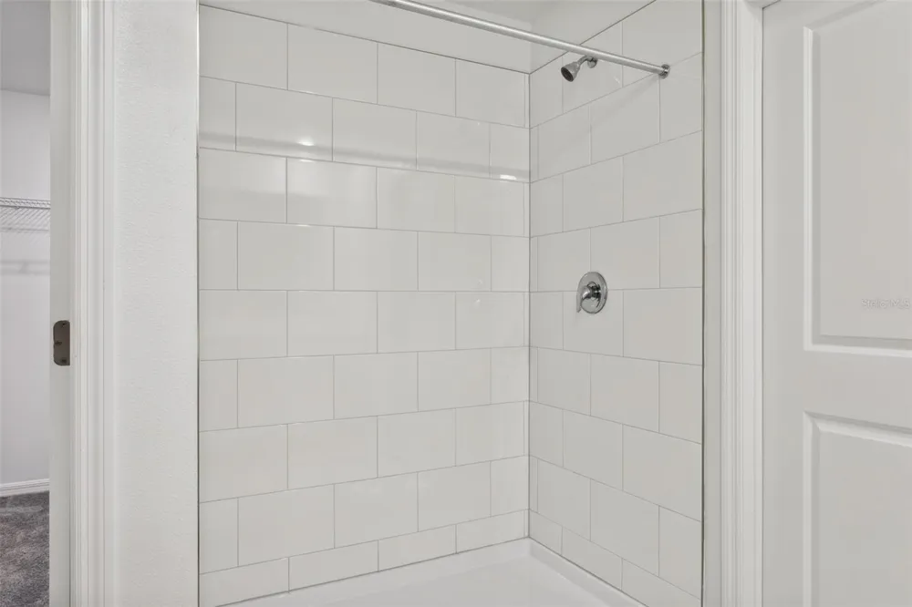 32309 WISHING HAVEN DRIVE San Antonio, FL 33576