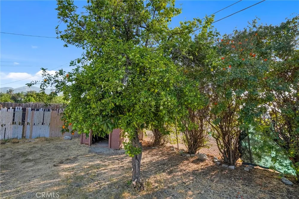 1538 Amador Ave Ontario, CA 91764
