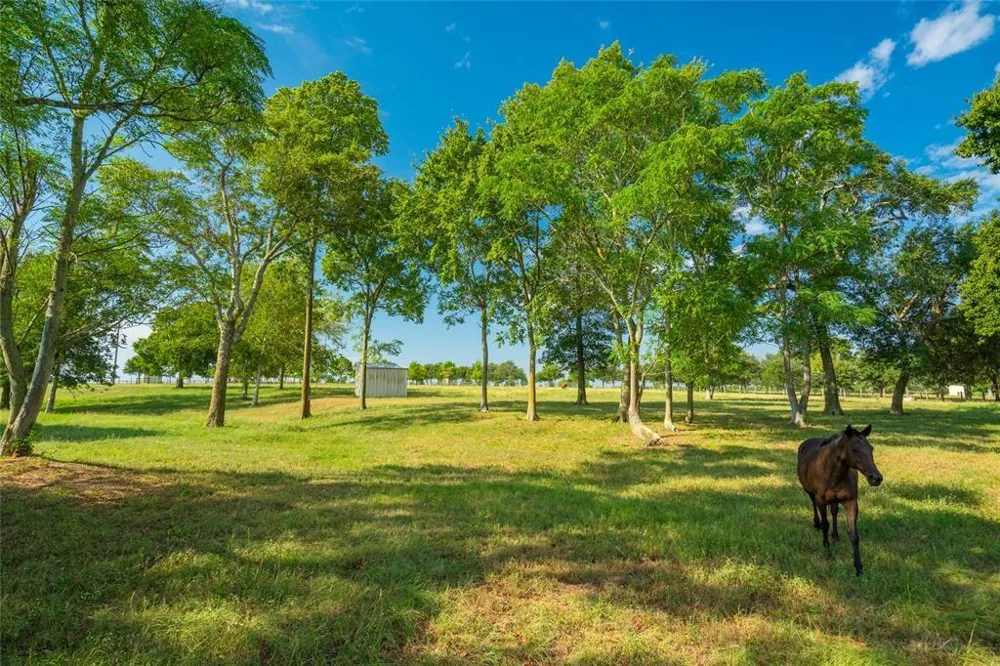 19204 Fm 359 Road Hempstead, TX 77445