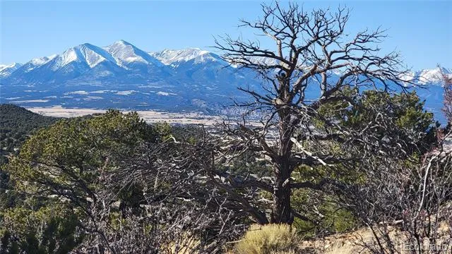 5460 Greenhorn Circle Salida, CO 81201
