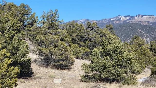 5460 Greenhorn Circle Salida, CO 81201
