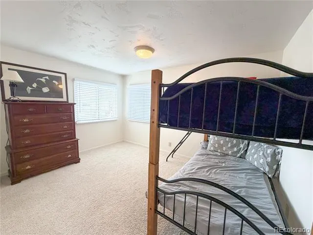 430 E 5th Street Leadville, CO 80461