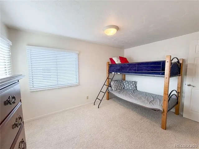 430 E 5th Street Leadville, CO 80461