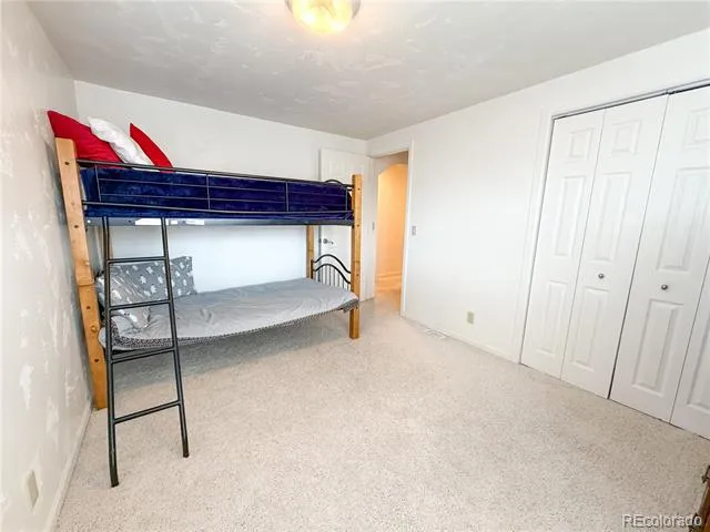 430 E 5th Street Leadville, CO 80461