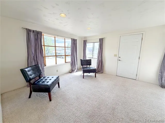 430 E 5th Street Leadville, CO 80461