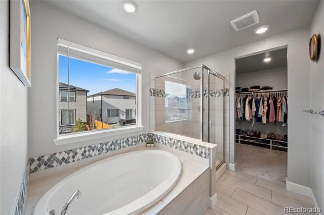 3807 Red Valley Lane Castle Rock, CO 80104