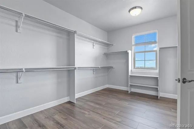 9781 Cantabria Point Lone Tree, CO 80124