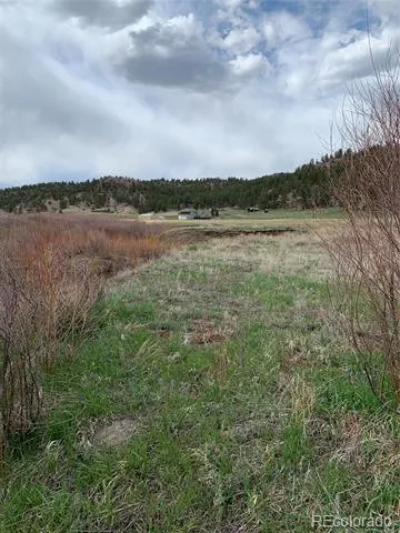 1840 Lakemoor Drive Florissant, CO 80816