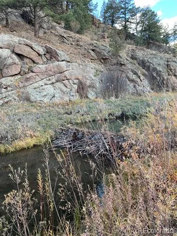 1840 Lakemoor Drive Florissant, CO 80816
