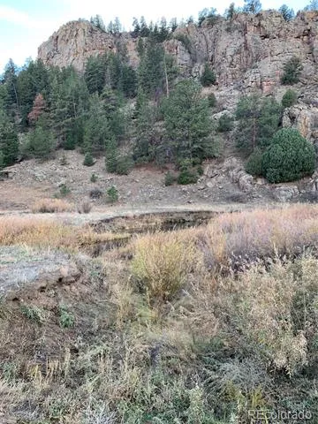 1840 Lakemoor Drive Florissant, CO 80816