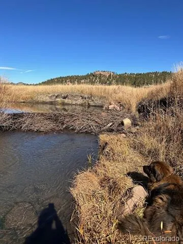 1840 Lakemoor Drive Florissant, CO 80816
