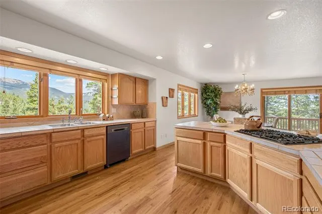 1363 Royal Ridge Drive Bailey, CO 80421