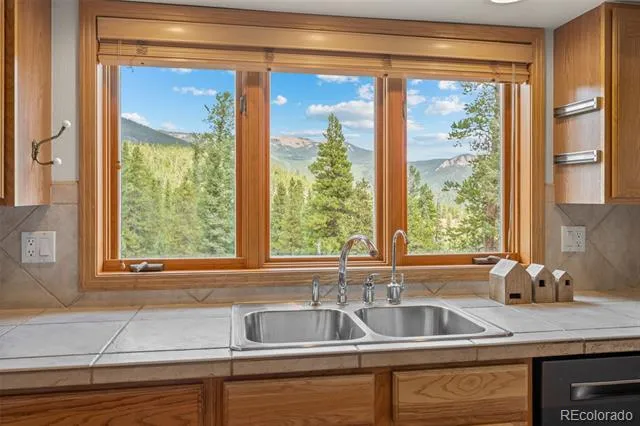 1363 Royal Ridge Drive Bailey, CO 80421