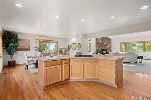 1363 Royal Ridge Drive Bailey, CO 80421
