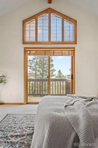 1363 Royal Ridge Drive Bailey, CO 80421