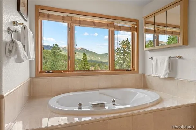 1363 Royal Ridge Drive Bailey, CO 80421
