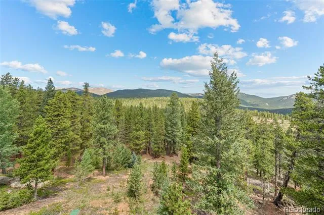 1363 Royal Ridge Drive Bailey, CO 80421