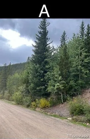000 Nebraska Drive Idaho Springs, CO 80452