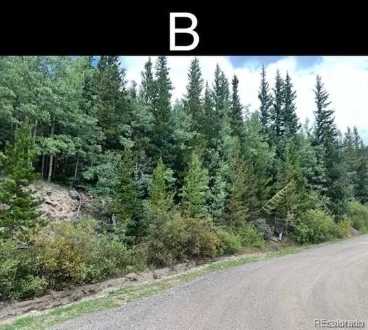 000 Nebraska Drive Idaho Springs, CO 80452