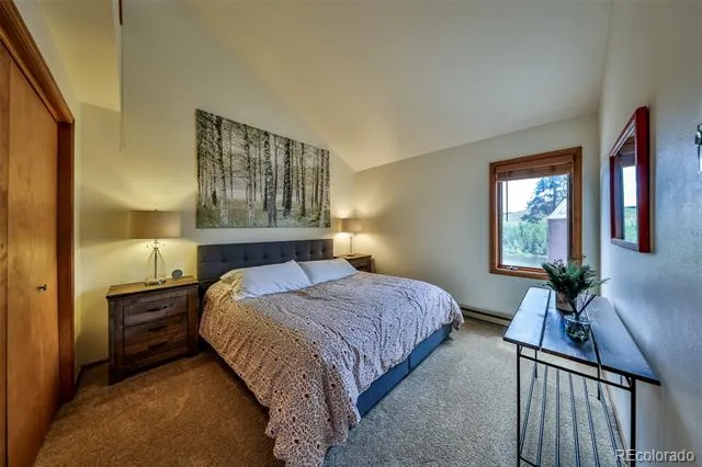 222 County Road 4421 #4D Grand Lake, CO 80447